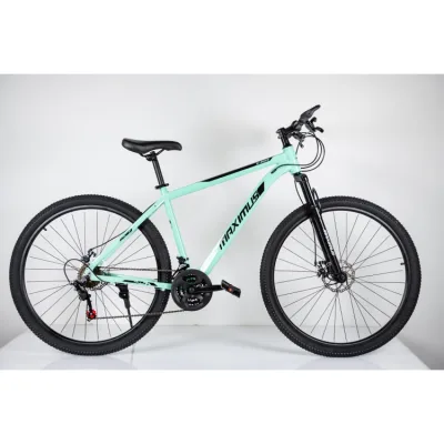 MTB bicikl 29" sa 21 brzinom – Zelena
